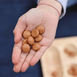 Mancala Game -Le Toy Van Cheap Store 12